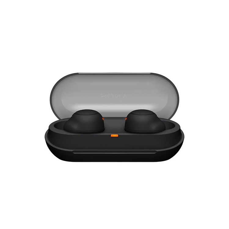 Sony WF-C500 True Wireless Earbuds