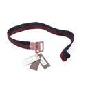 Ermanno Scervino Belt B3202 TU,  Pink