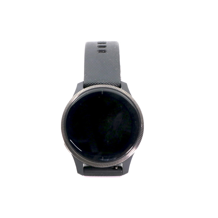 Garmin Venus