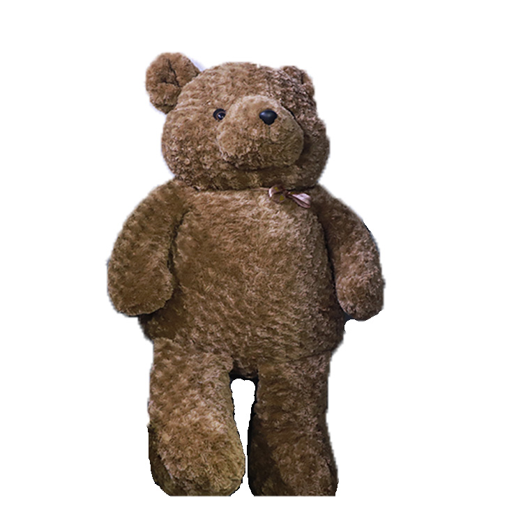 Teddy House Big Brown Bear