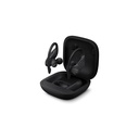 Beats Powerbeats Pro Wireless Earbuds - Black Colors