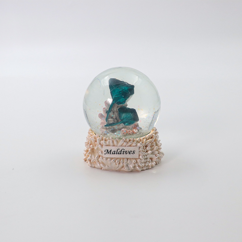 Maldives Glitter Snow Globe Sea Life Animal Figurine Room Decor