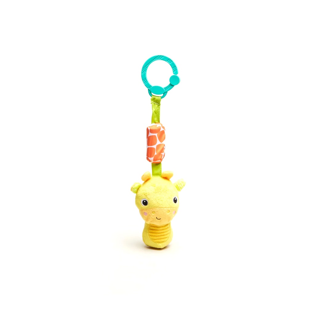 Bright Starts Chime Along Friends Toy