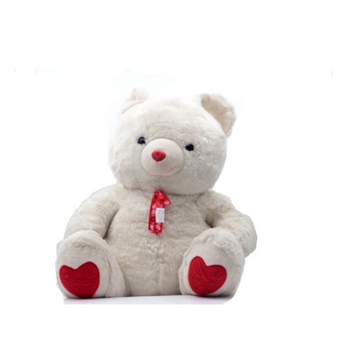 White Teddy Bear