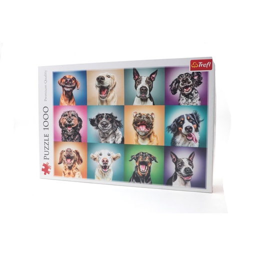 Puzzle 1000 Premium Quality