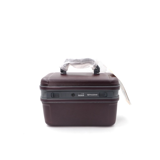 President Mini Case