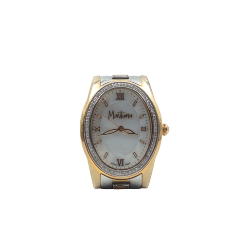 Montana BJ7495L Gold Silver Toned Stainless Steel Watch Swiss Made