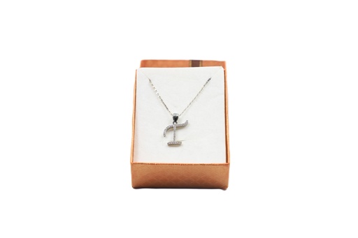 Fashion Silver Necklace
