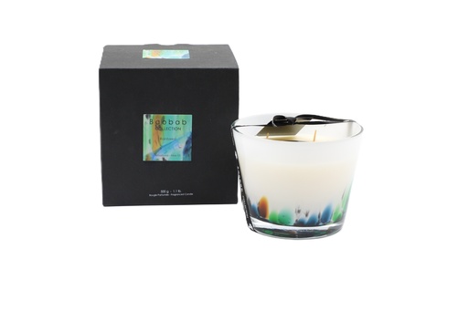 Baobab collection Max 10 Rainforest Amazonia Candles 500G