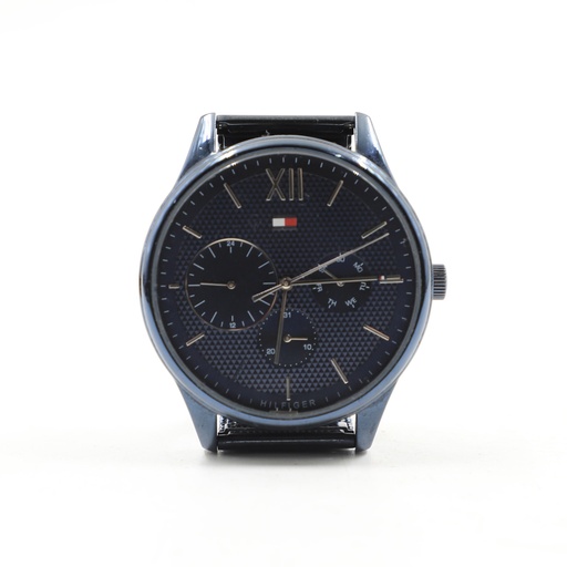 tommy hilfiger, TH.344.1.34.2329