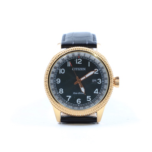 Citizen Eco drive Gn-4-S, E111.S120721, Base ST-Steel WR-10Bar