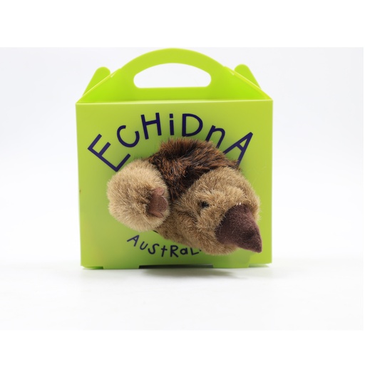 Echidna Austrlian Toy