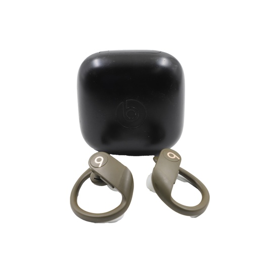 Beats Powerbeats Pro Wireless Earbuds - Black