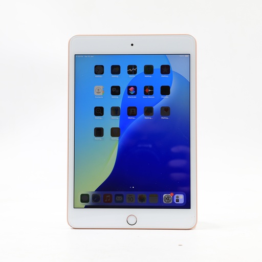 iPad Mini 5 Th Gen 64 Gb