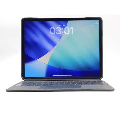 Apple iPad Pro 6th gen 256 gb 12.9 inch + loqi Keyboard English)
