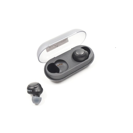 Sony WF-C500 Wireless Earbuds