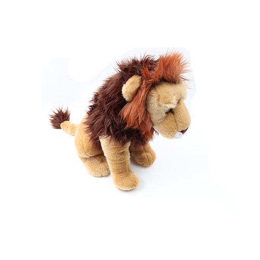ZSL Small Lion
