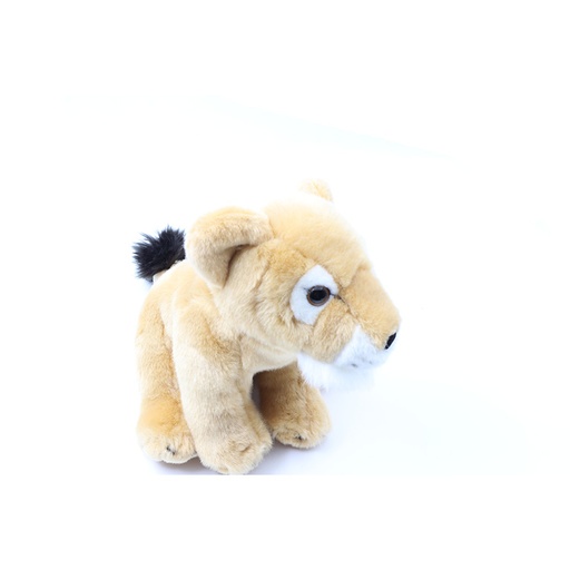 ZSL Small Lionness