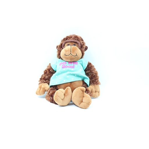 First main Maid Monkey Get Well Soon,