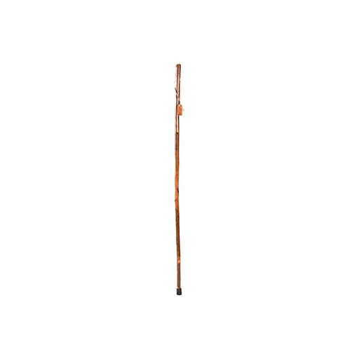 Brazos Walking Stick