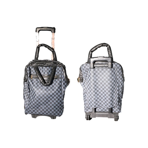 Louis Vuitton Trolley Bag