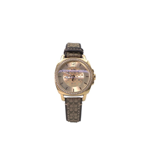 Coach Silver Dial Brown Leather Band Diamond Watch CA.64.7.95.1616S