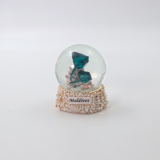 Maldives Glitter Snow Globe Sea Life Animal Figurine Room Decor