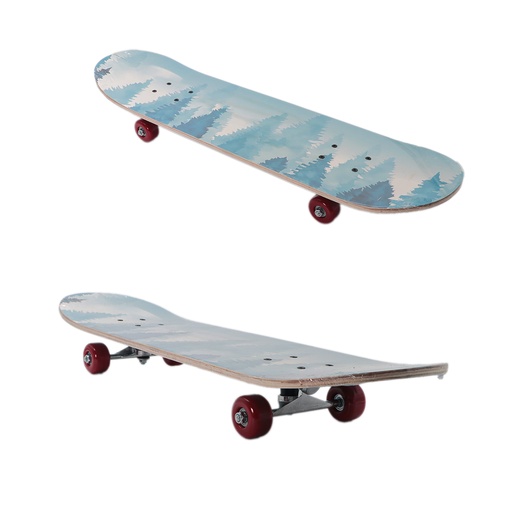 S/Q SkateBord